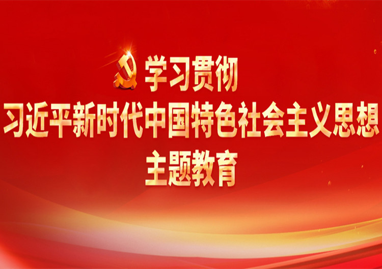 学习贯彻习近平新时代中国特色社会主义思想主题教育